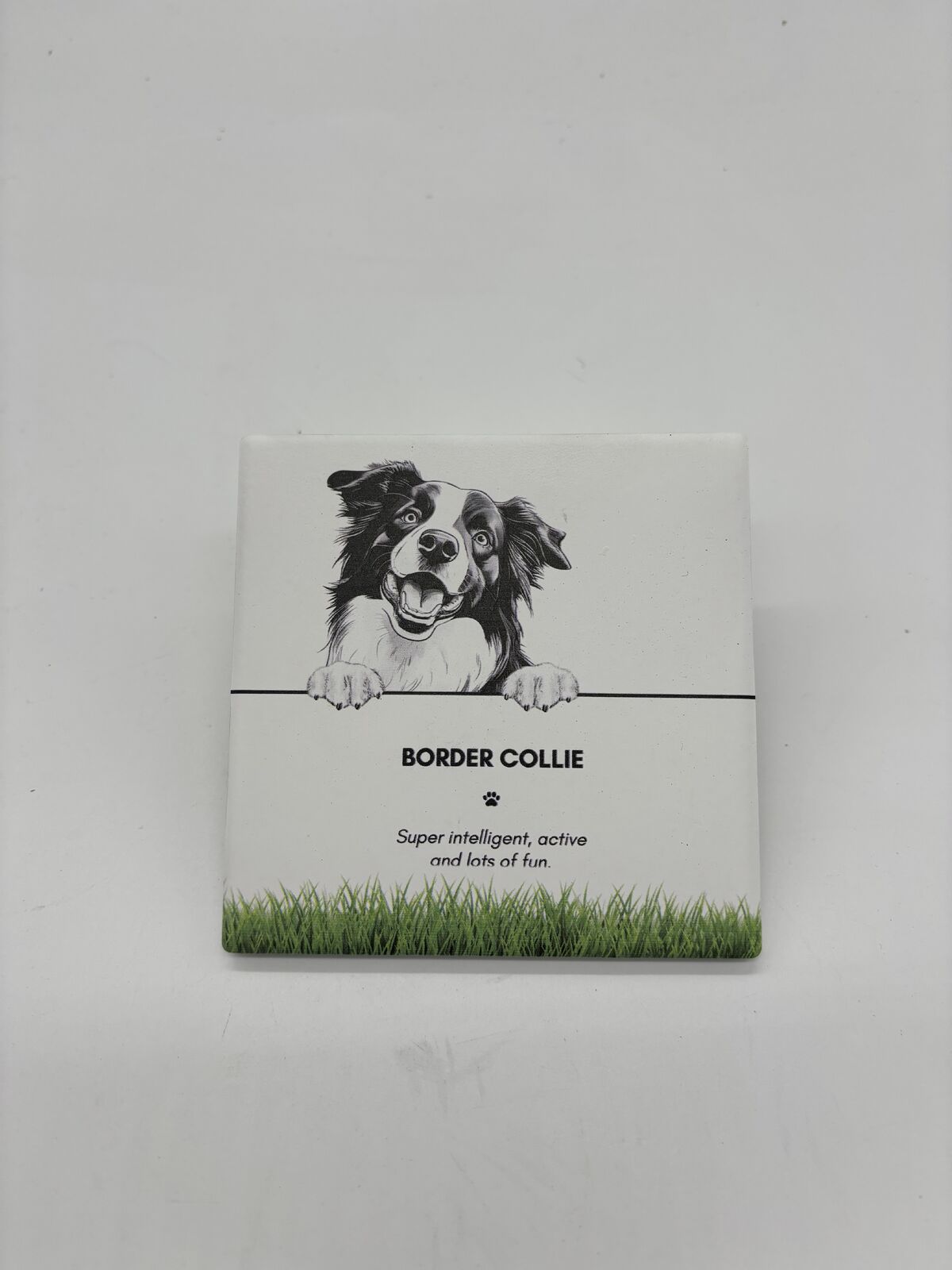 Bramble Bay Pet Kitchen Coaster Border Collie Dog Lover Gift 11x11cm (6 Pack) — image 2
