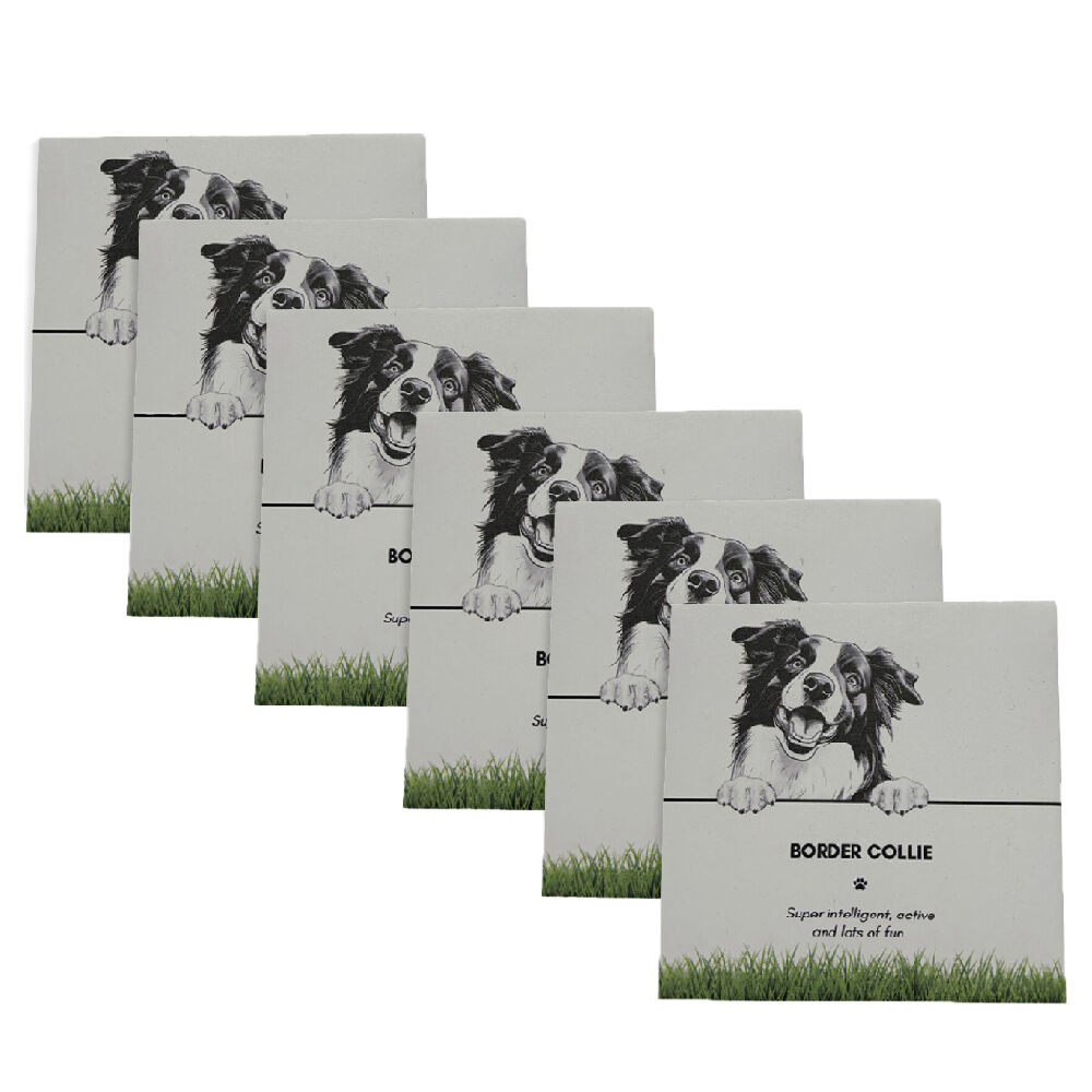 Bramble Bay Pet Kitchen Coaster Border Collie Dog Lover Gift 11x11cm (6 Pack)