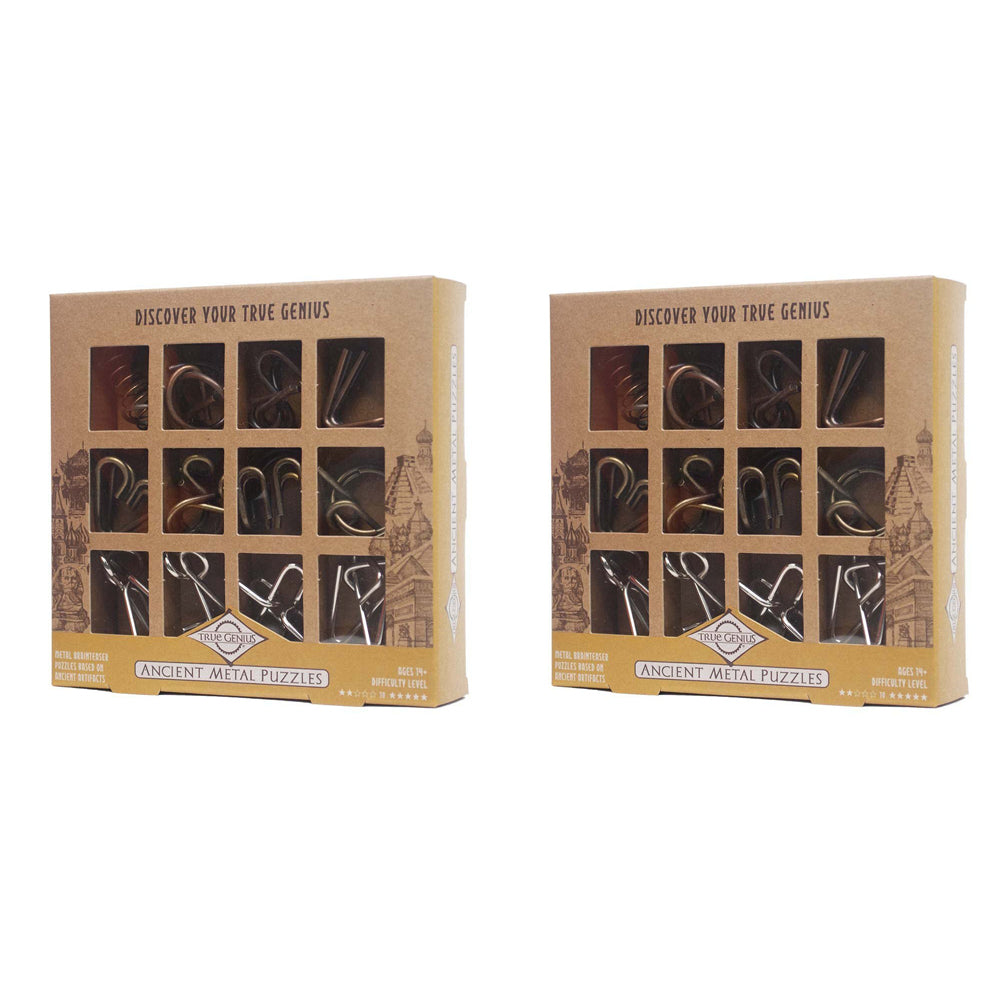Project Genius 12pc Project Genius Metal Ancient Collection Kids Interactive Puzzle Toy 14+ (2 Pack)