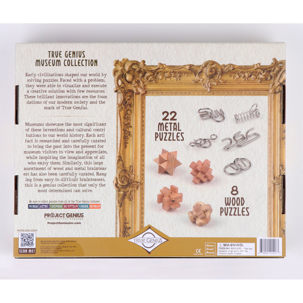 Project Genius Museum Collection Interactive Problem Solving Adult Puzzle Set 8+ — image 3