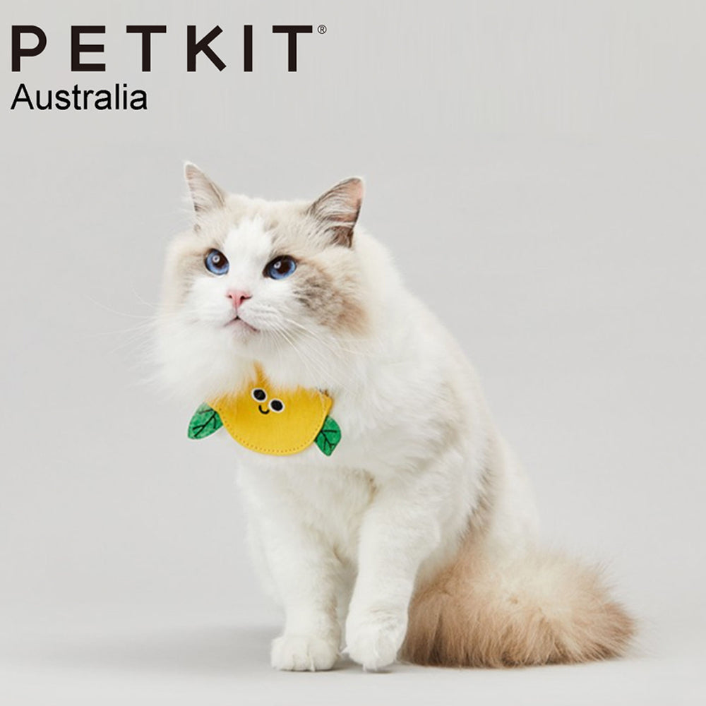 Petkit Adjustable 15cm Party Pet Cat Dog Accessories Towel/Bib Collar Chicken — image 6
