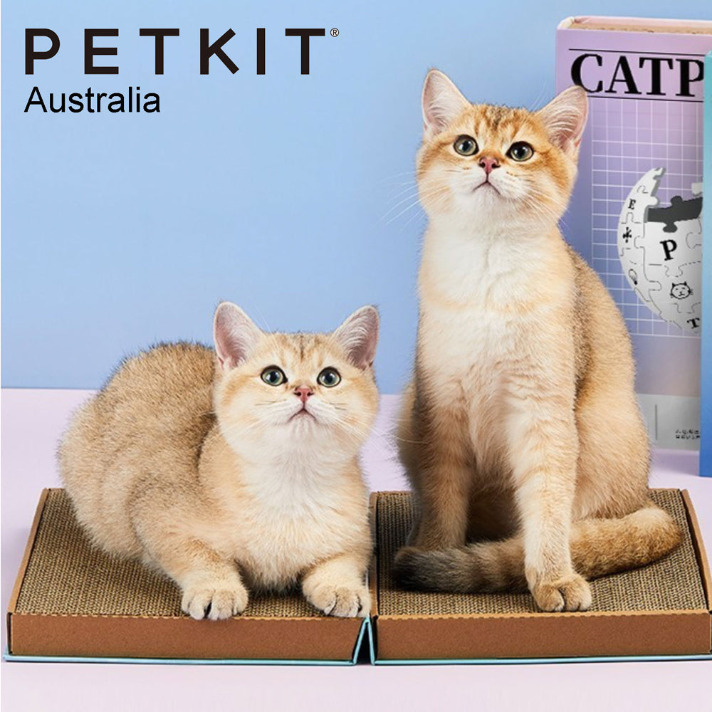 Petkit 30cm Catpedia Corrugated Paper Book Pets Cat Toy Scratcher w/Catnip Blue — image 4