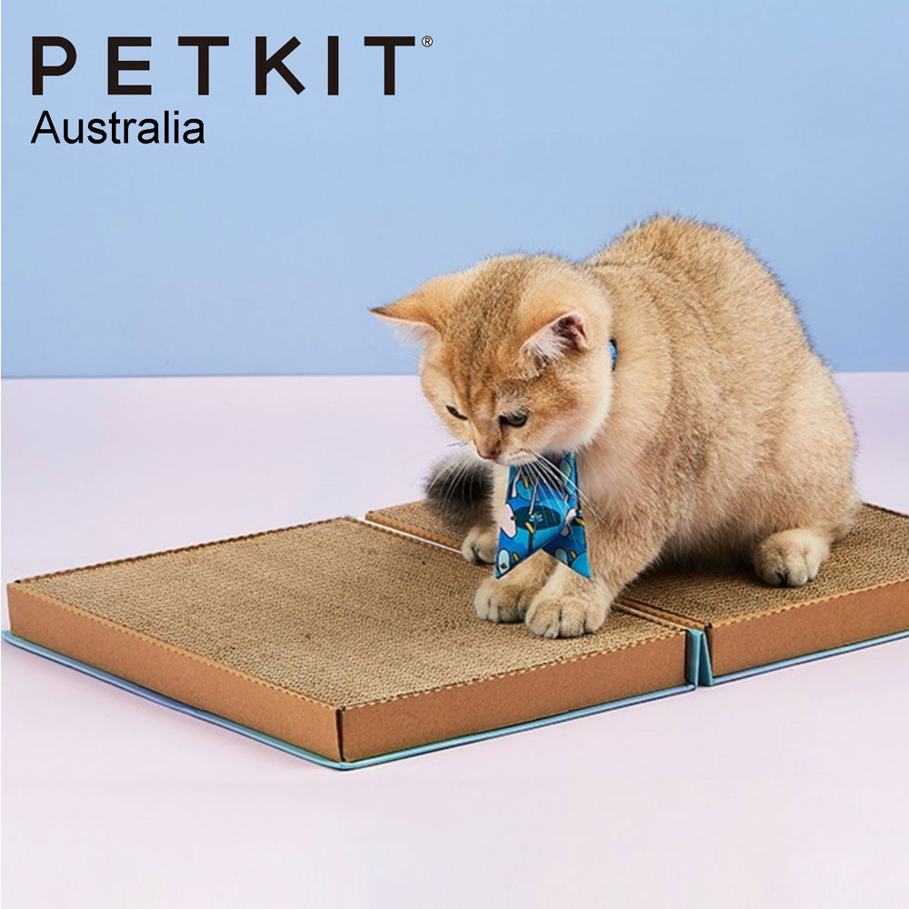 Petkit 30cm Catpedia Corrugated Paper Book Pets Cat Toy Scratcher w/Catnip Blue — image 6