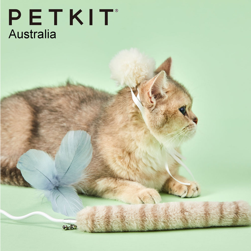Petkit Bingo Replacement Accessories Set for Cat/Pet Teasing Wand/Stick Toy (3 Pieces) — image 3