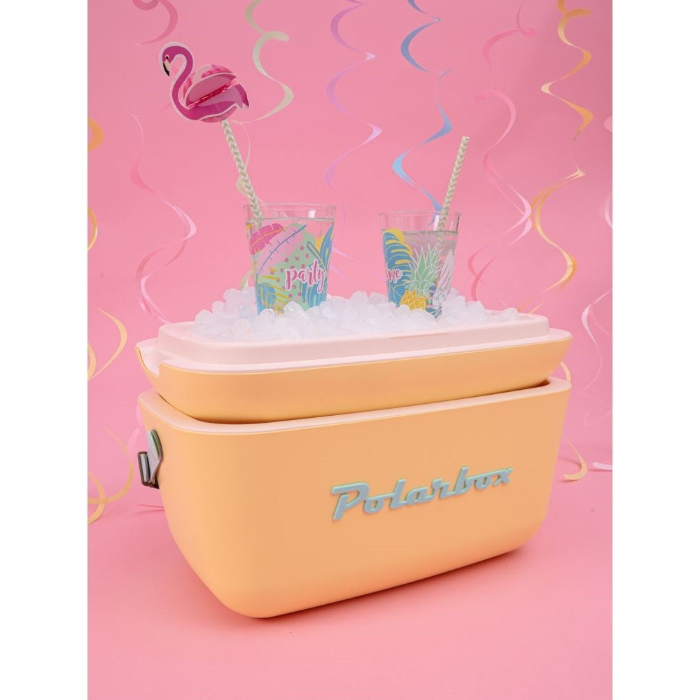 Polarbox Ice Chest Cooler Box Insulated Portable Outdoor Caravan 20L Yellow — image 4