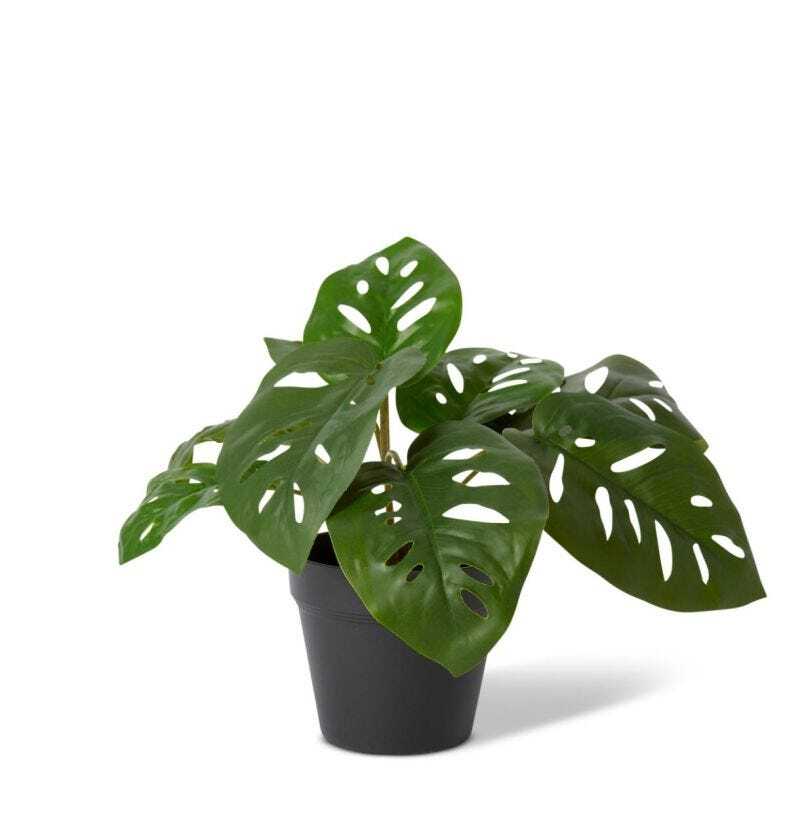 E Style 38cm Swiss Cheese Artificial Potted Plant Fake/Faux Home Decor Green