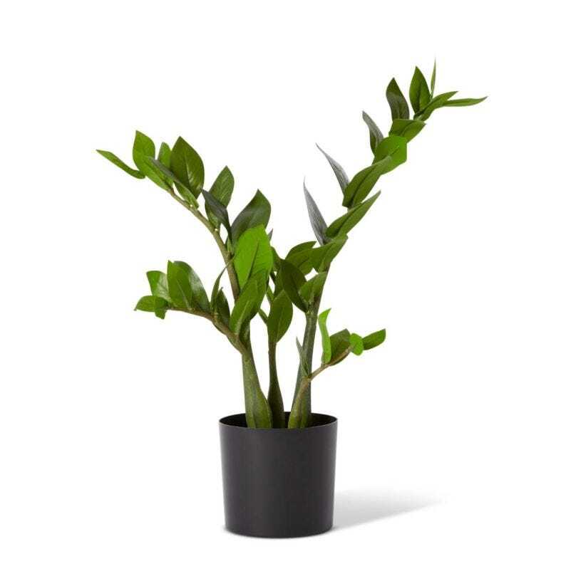 E Style 57cm Zanzibar Potted Artificial Plant Fake/Faux Home Decor Green