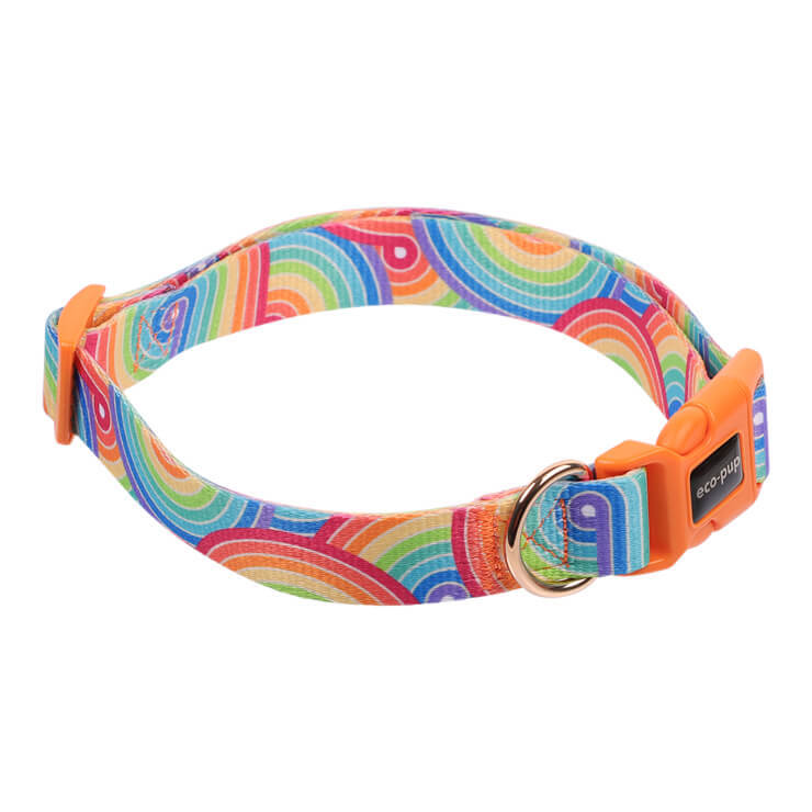 Eco-Pup Dog Outdoor Walking Collar Size Large Rainbow Pattern Pet Dress Up