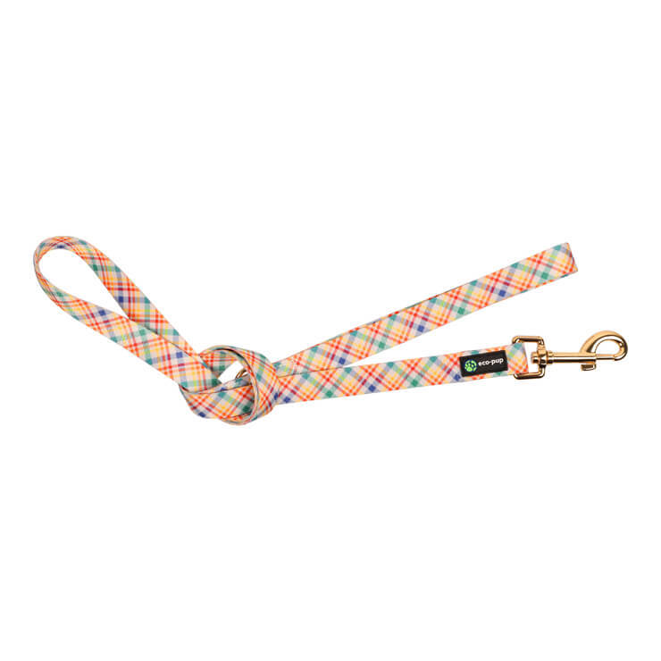 Eco-Pup Dog Outdoor Walking Durable Lead/Leash 120cmx20mm Check Pattern