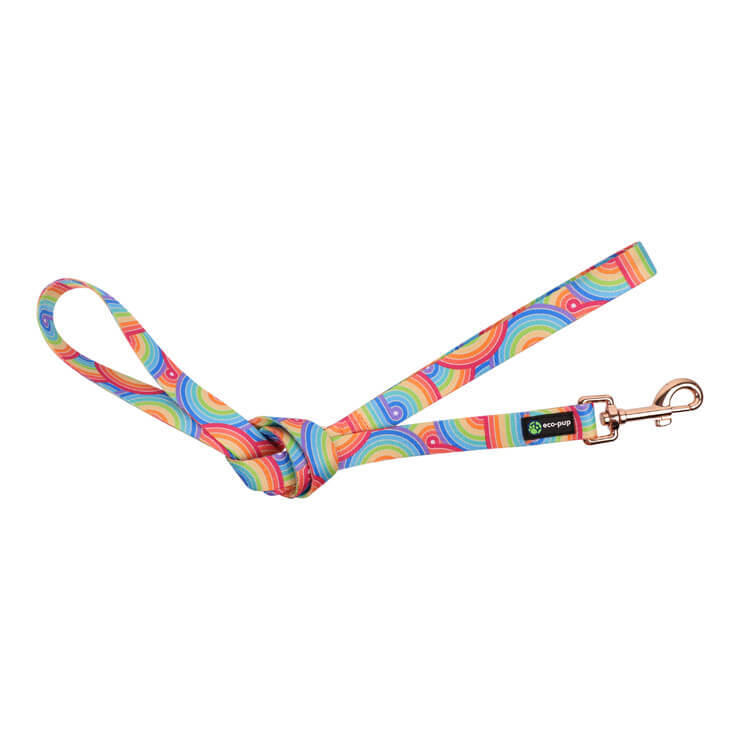 Eco-Pup Dog Outdoor Walking Durable Lead/Leash 120cmx20mm Rainbow Pattern