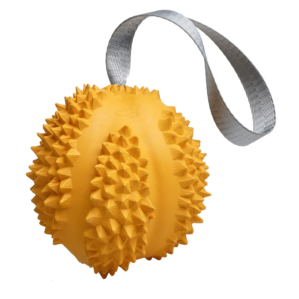 Petopia Ultra Tough Rubber Durable Durian Dog Toy Chew Treat Assorted — 11cm Large