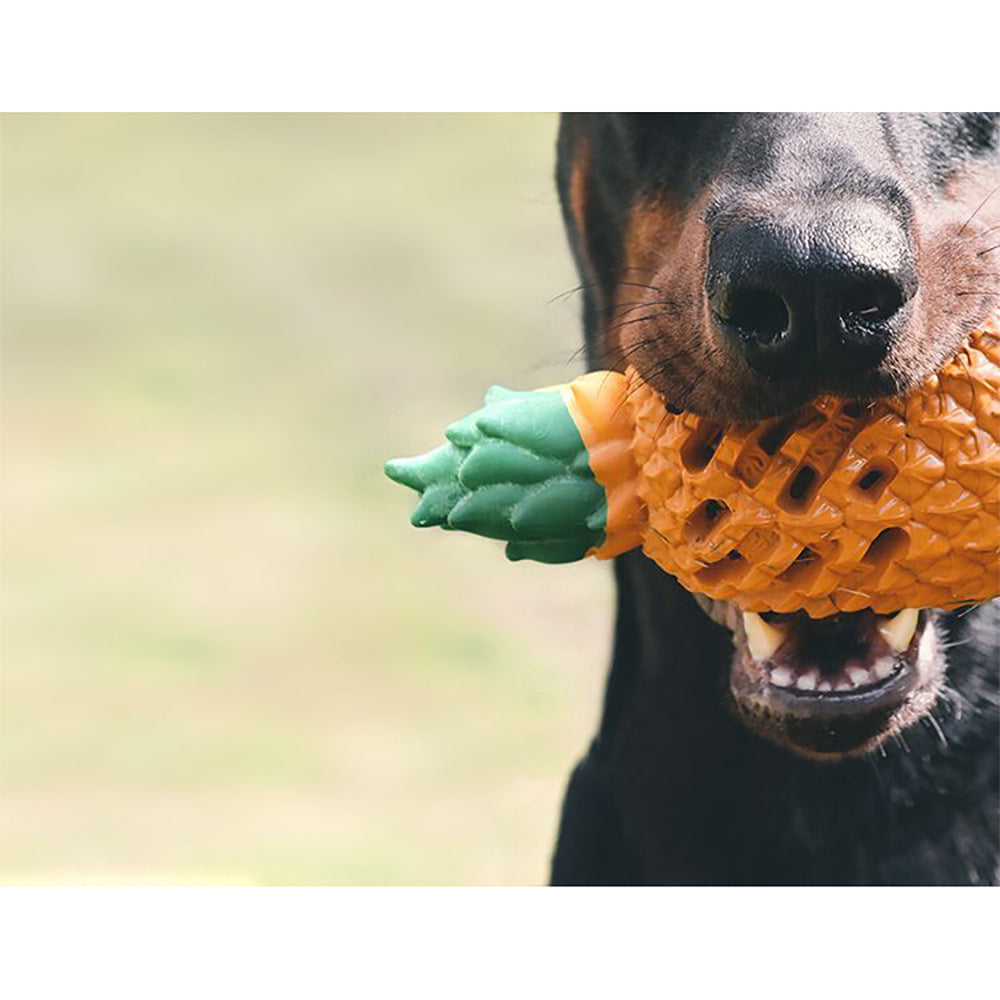Petopia Ultra Tough 18cm Rubber Pawsome Pineapple Dog Toy Chew Treat Lrg Orange — image 2