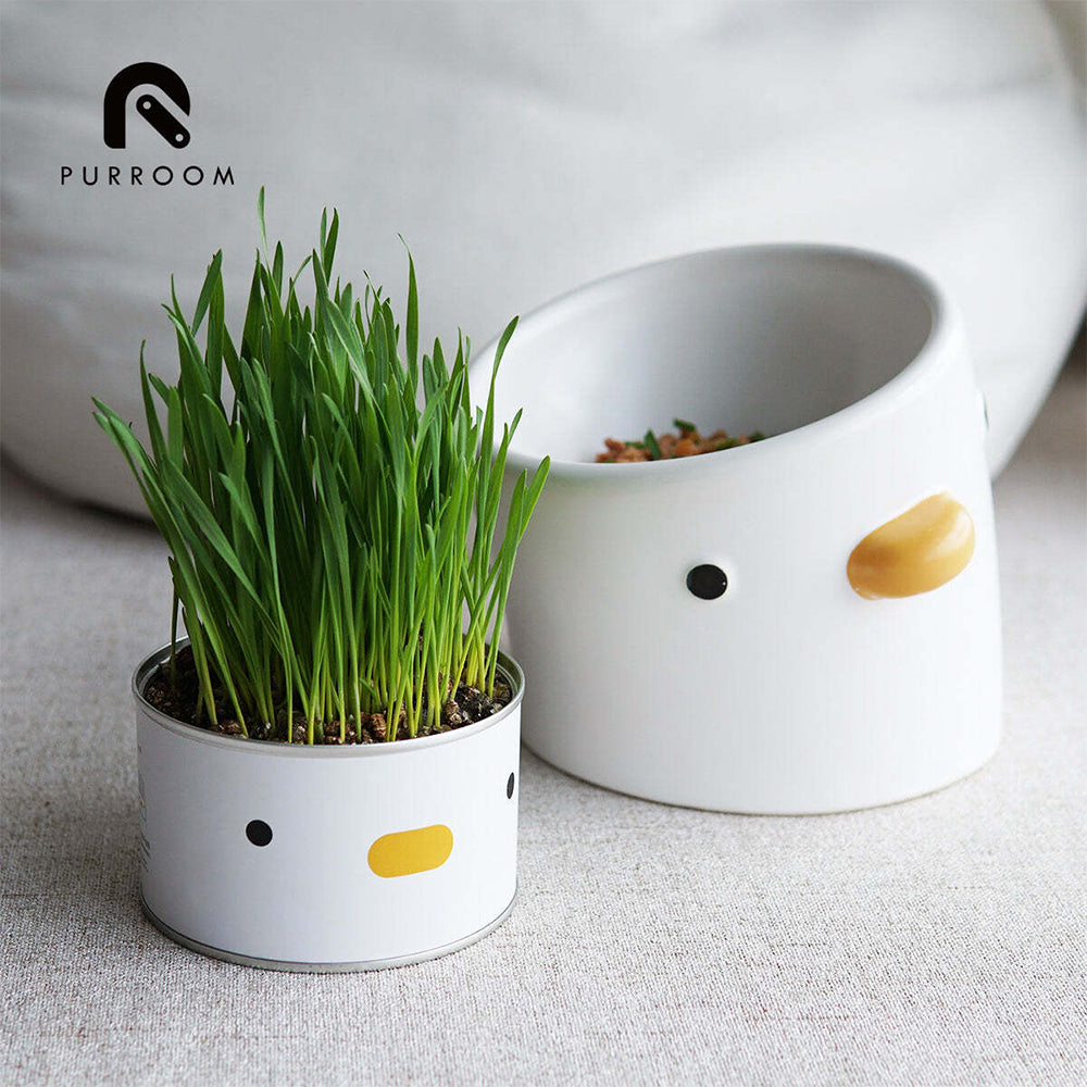 Purroom Cat/Kitten Grass Cultivation Kit Feline Food Pet Hairball Remedy Chick — image 2