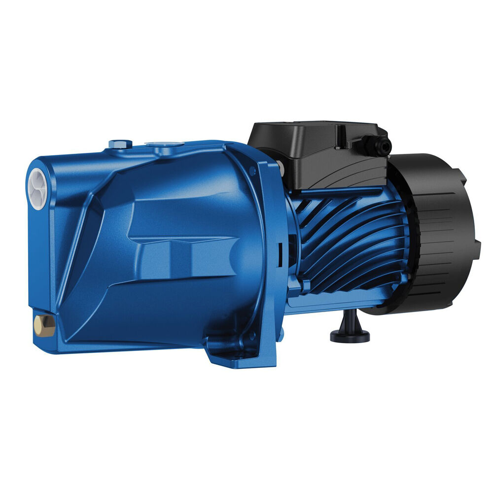 Rural Max 750W Cast Iron Garden Pressure Water Transfer Pump RM-JP100 Blue