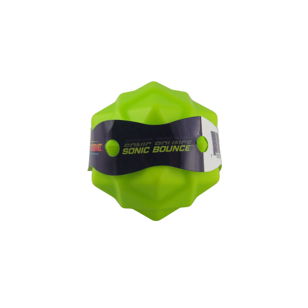 Aerobie Sonic Bounce Ball Outdoor Play Games Kids & Family Toys Green — image 2