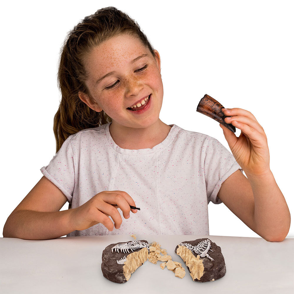 National Geographic Dino Fossil Dig Kit Kids/Children Activity Fun Play Toy 8+ — image 3