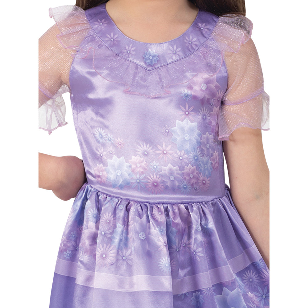 Disney Size 4-6y Isabela Classic Encanto Kids Costume Cosplay Dress Up Party — image 2