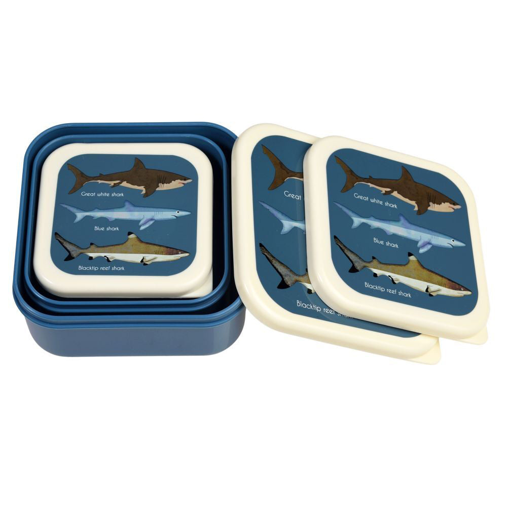 Rex London 3pc Rex London Kids Plastic Snack/Lunch Box Food Storage Square Set Sharks (2 Pack) — image 2