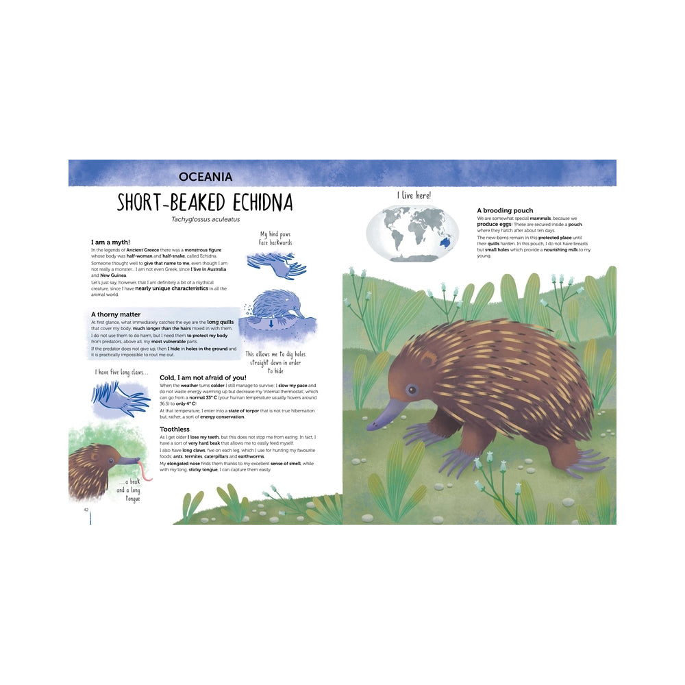 Sassi Atlas of Biodiversity Story Book Curious & Unusual Animal Kids/Children 6+ — image 2