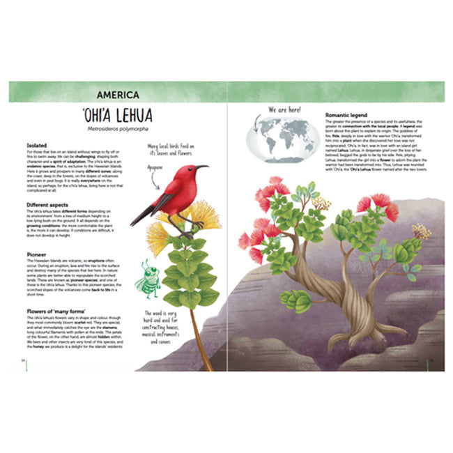 Sassi Book Kids/Children Learning Atlas of Biodiversity Flora of the World 6y+