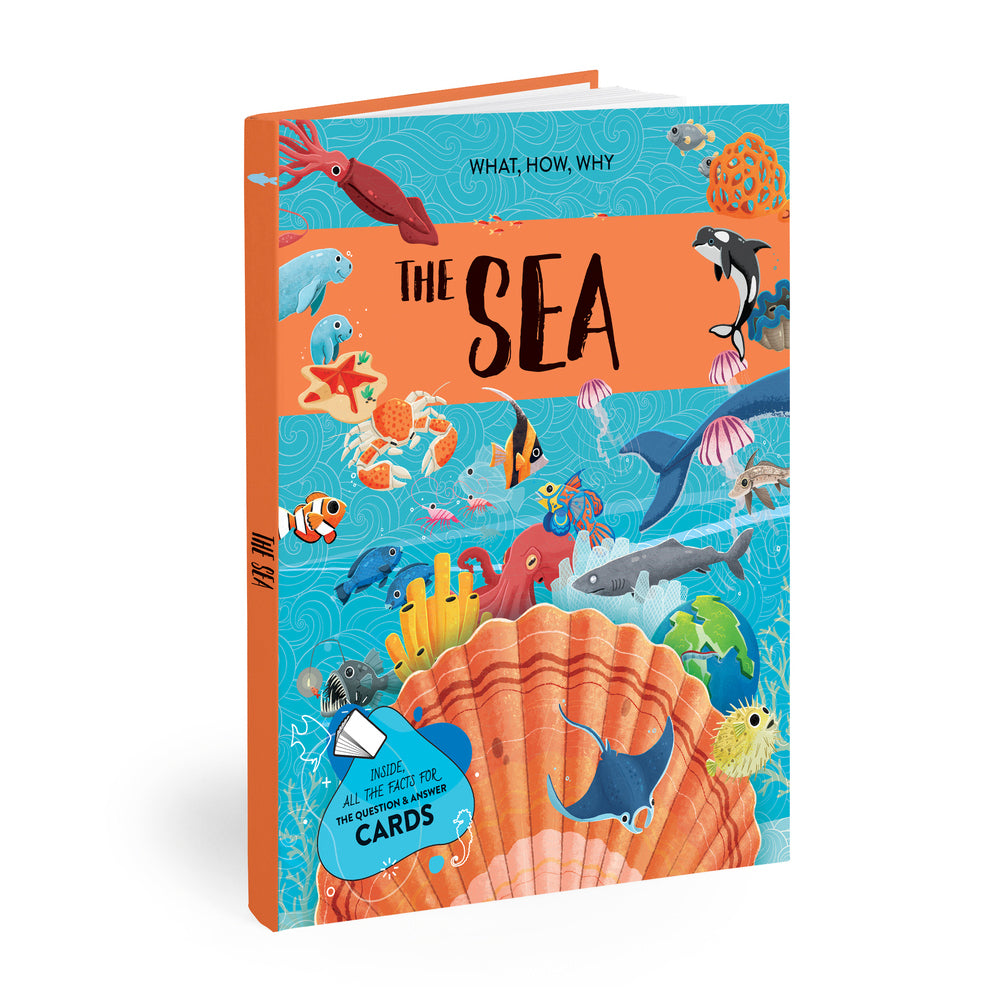 Sassi Book & Poster Kids/Children Fun Learning/Reading What How & Why The Sea 6+