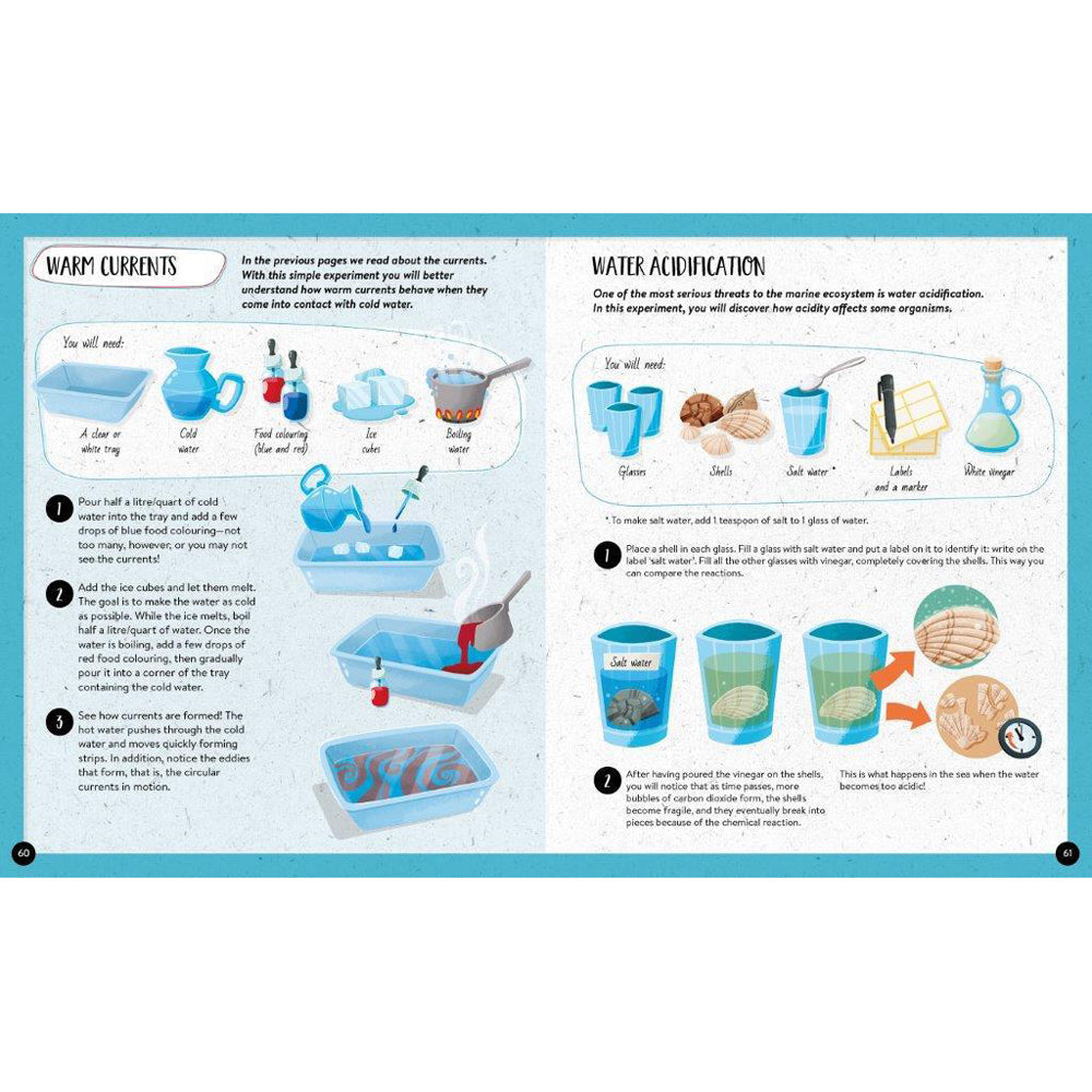 Sassi Book & Poster Kids/Children Fun Learning/Reading What How & Why The Sea 6+ — image 3