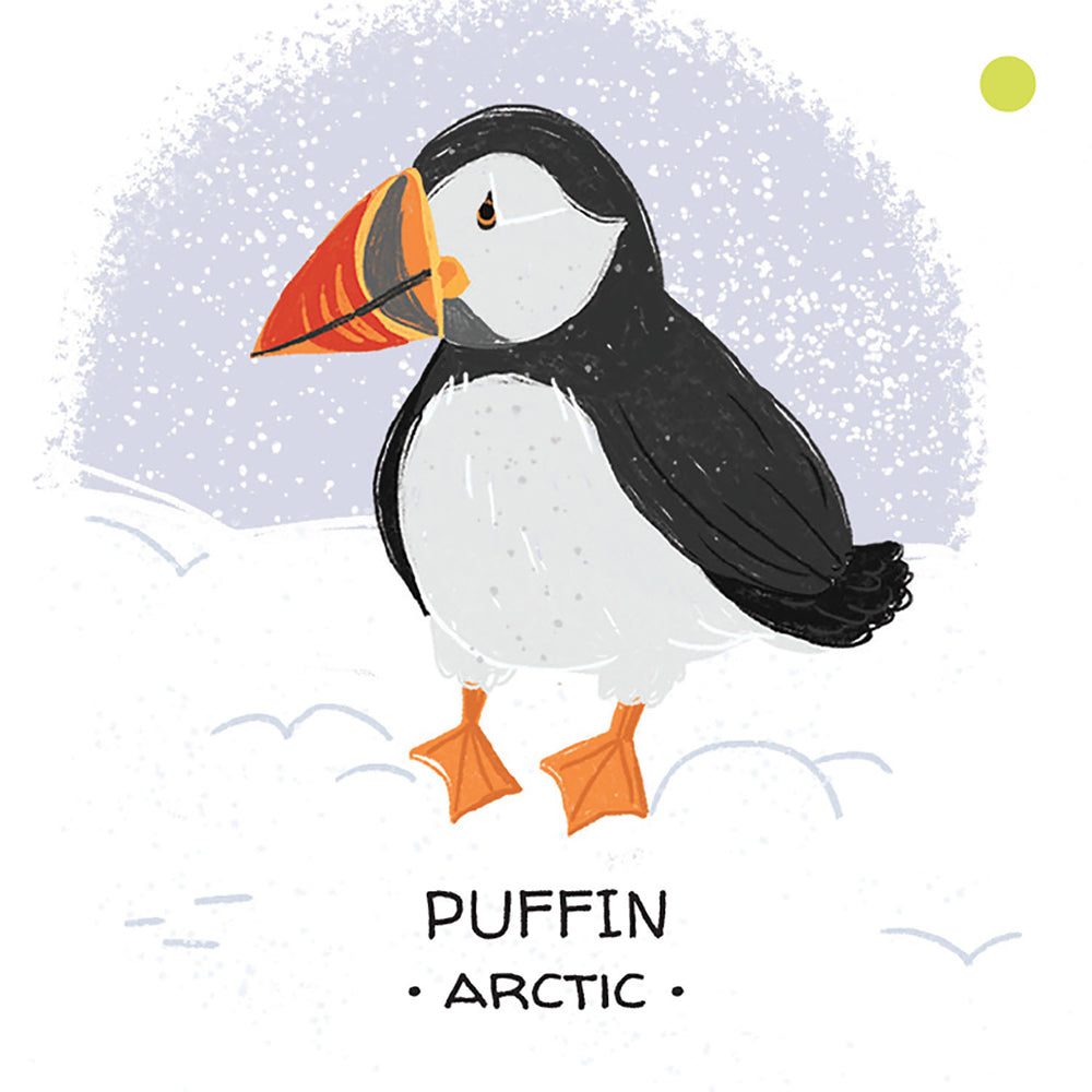 Sassi Games Animals to Save Memory Matching Game Polar Ice Kids/Children 4y+ — image 3