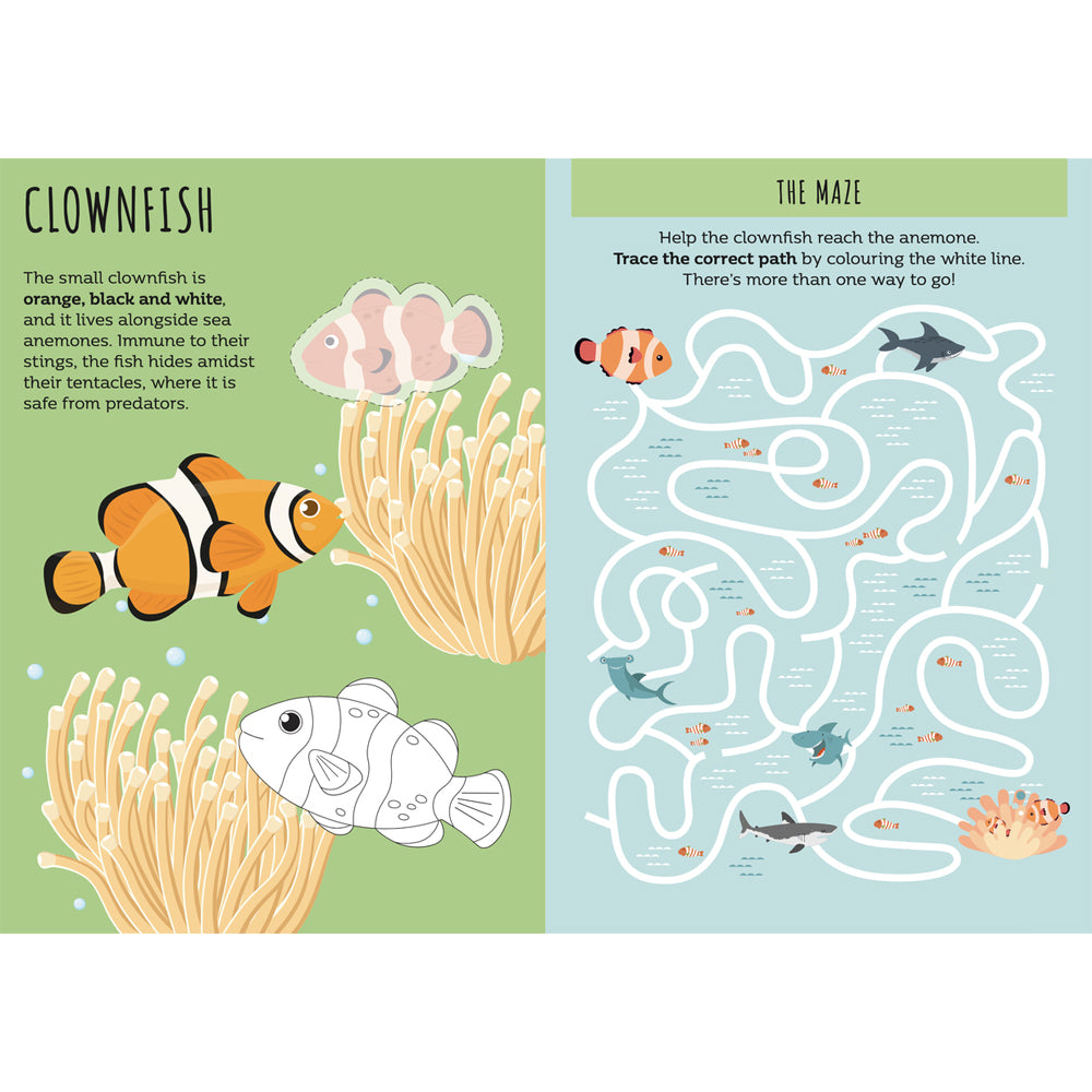Sassi Stickers & Activities Book Kids/Children Learn Play Reading The Sea 3y+ — image 2