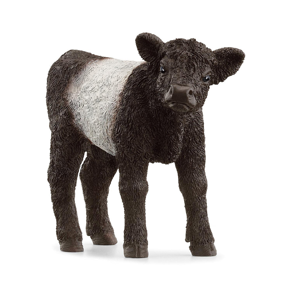 Schleich Kids/Childrens Toy Play Action Replica Figurine Galloway Calf 3y+