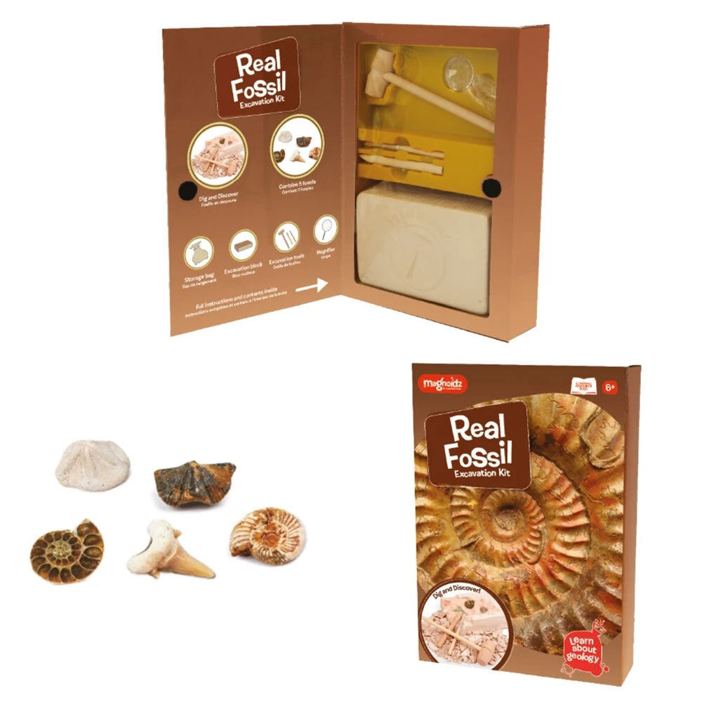 Magnoidz Fossil Dig Kit Kids/Children Educational Science Paleontology Toy 6y+ — image 2