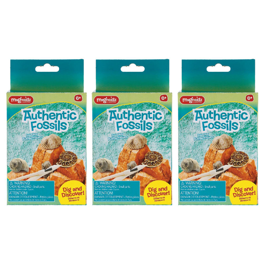 Magnoidz 16cm Dig & Discover Authentic Fossil Kit Kids Fun Educational Toy 6+ (3 Pack)