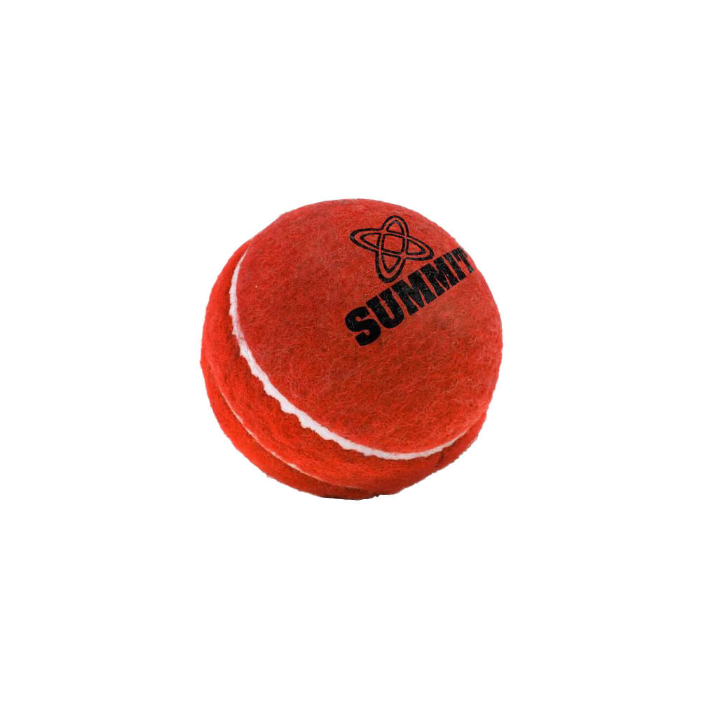 Summit Global Felt Rubber Practice Cricket Ball Kids/Child Cricket Gear Red