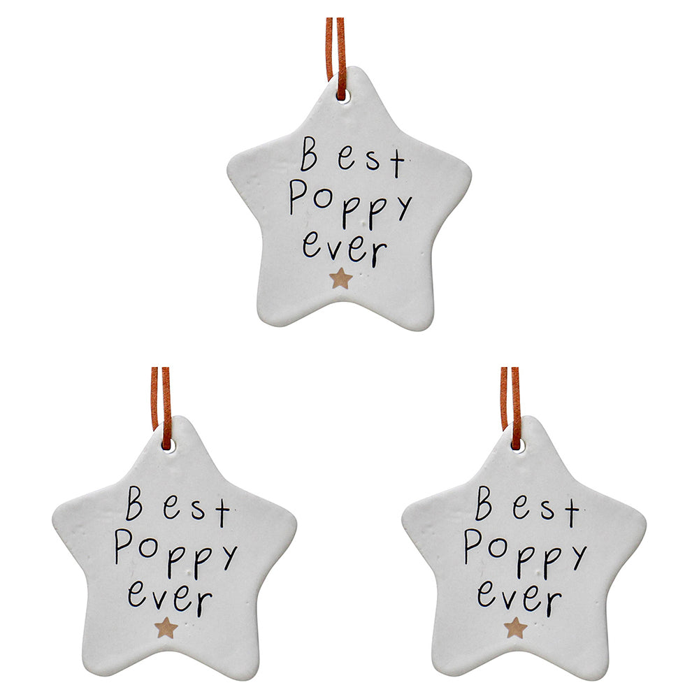 LVD Ceramic Hanging 9cm Star Best Poppy w/Ribbon Ornament Home/Office Room Decor (3 Pack)