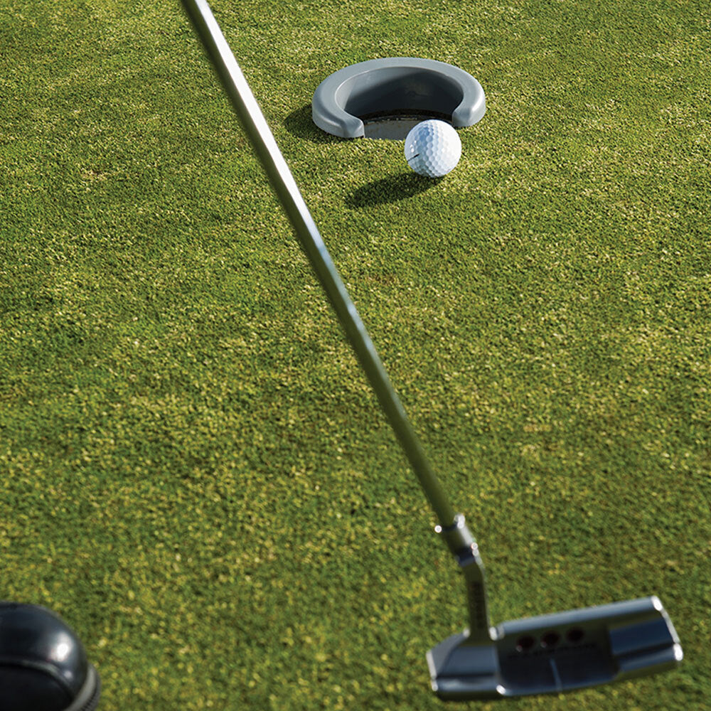 Sklz Putt Pocket Golf Accuracy Trainer/Practice Training Sports Putting Aid Grey — image 5