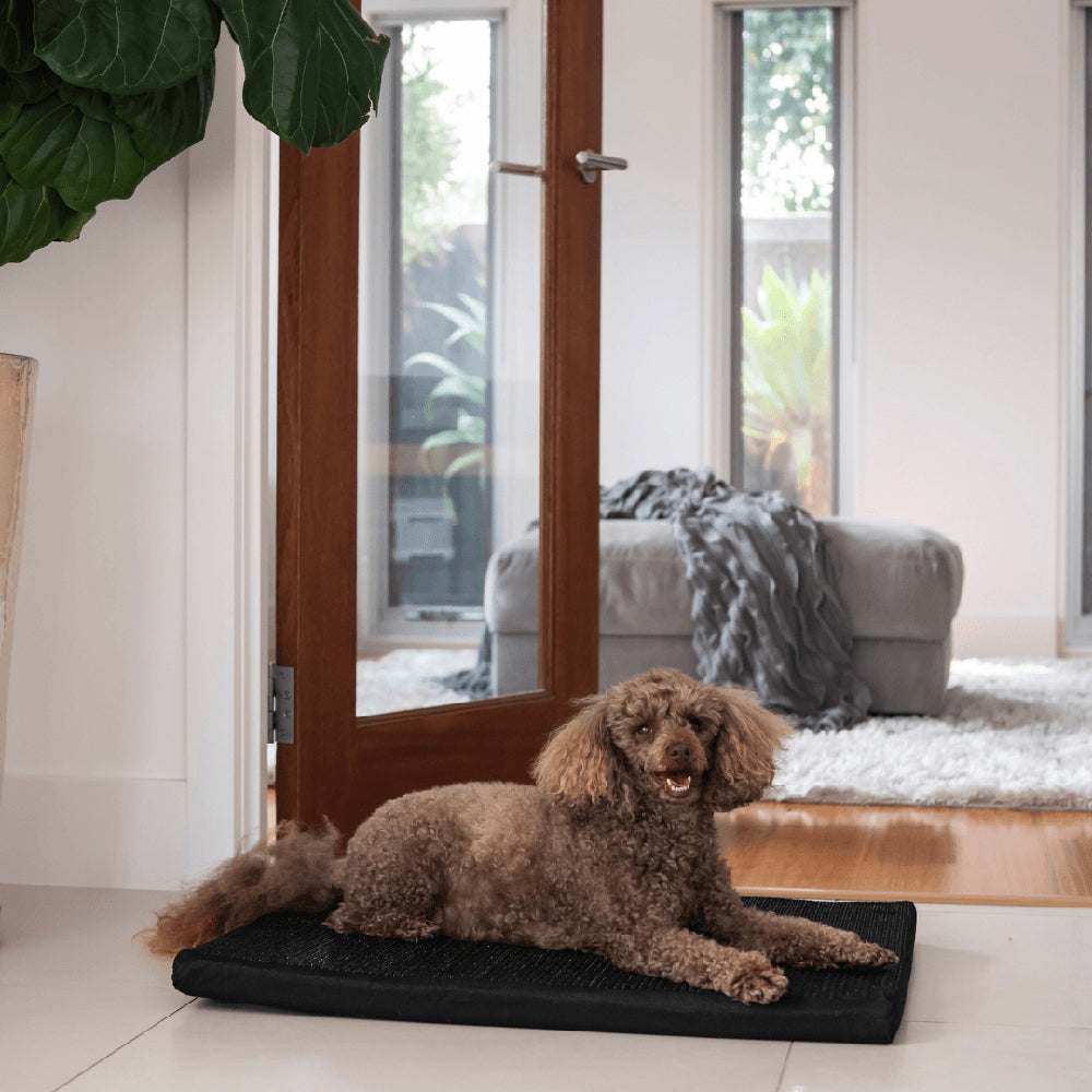 Superior Pet Essentials Dog Mat Mini Flea-Repellent - Washable - 54 x 4 x 70 cm — image 2