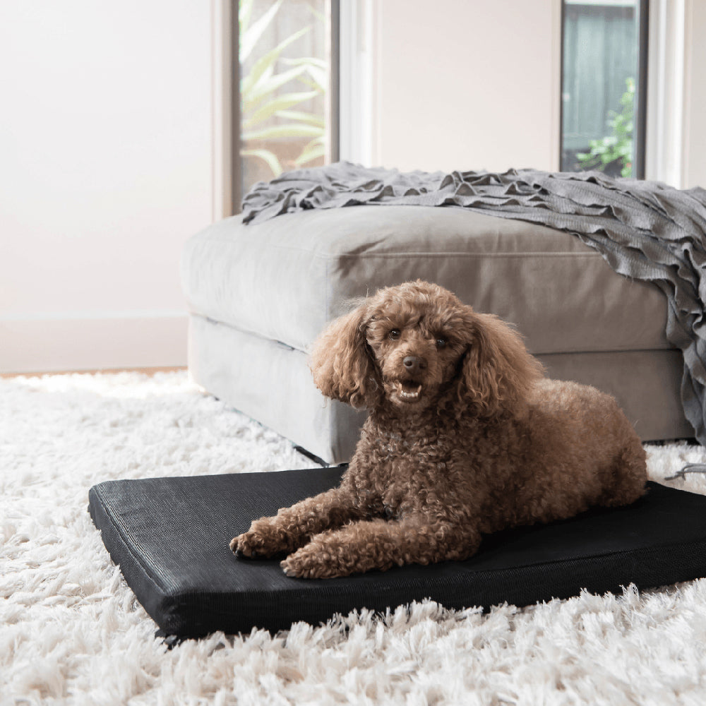 Superior Pet Goods Superior Pet Essentials Heavy Duty FleaFree Pet/Dog Mat Black Medium 94cm — image 4