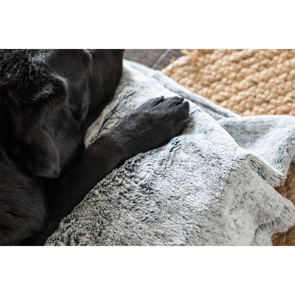 Superior Pet Goods Pet Blanket - Machine Washable - Snuggle - Large 140 x 100 Cm — image 4