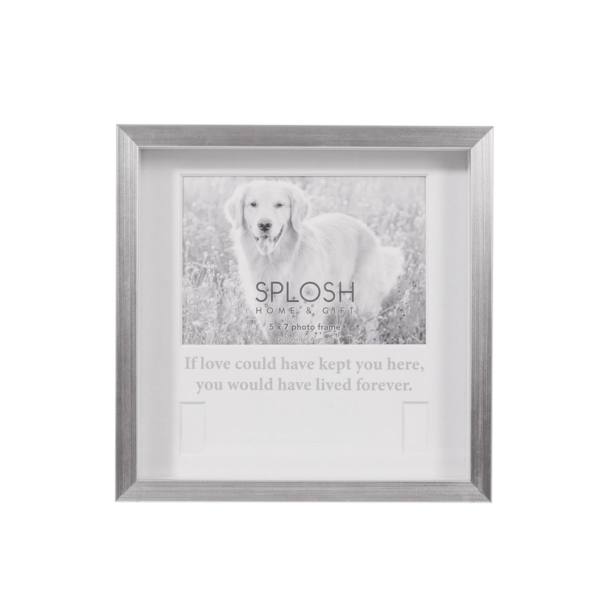 Splosh Sympathy Pet Memorial Collar Frame Standing Display Cat/Dog Keepsake 25cm