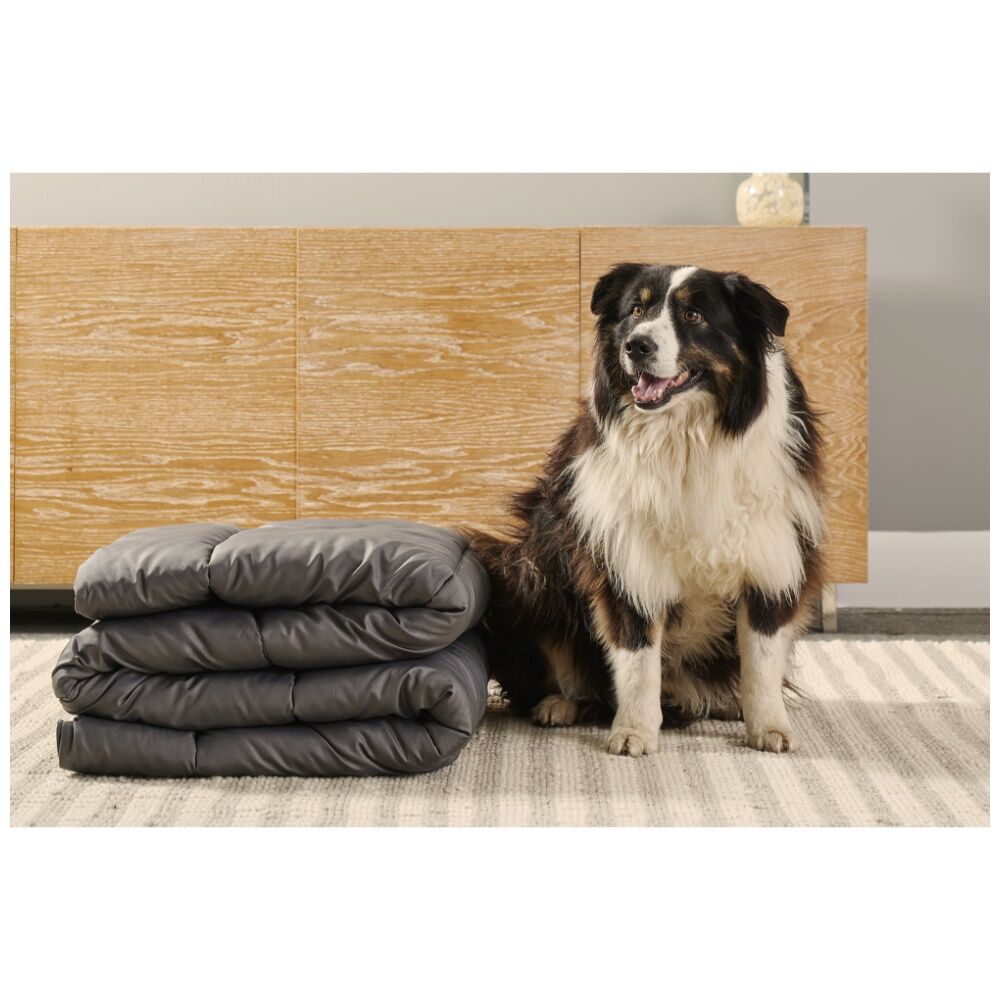 Tontine Doggy Doona Pet-Friendly Reversible Quilt For Dogs Single 140x210cm (2 Pack) — image 10