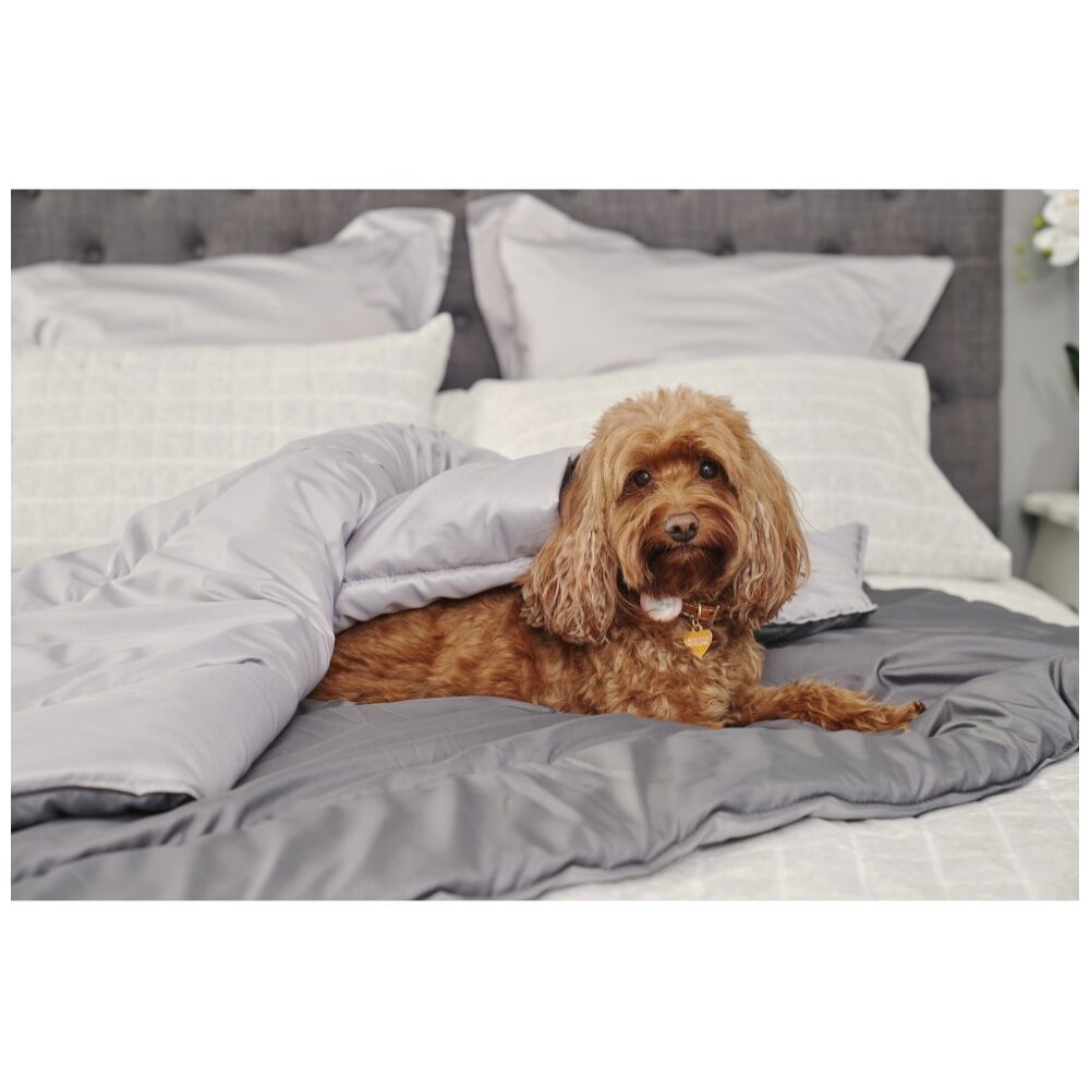 Tontine Doggy Doona Pet-Friendly Reversible Quilt For Dogs Single 140x210cm (2 Pack) — image 7