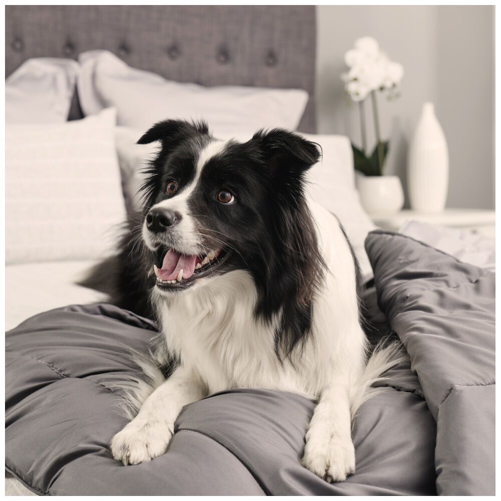 Tontine Doggy Doona Pet-Friendly Reversible Quilt For Dogs Single 140x210cm (2 Pack) — image 8