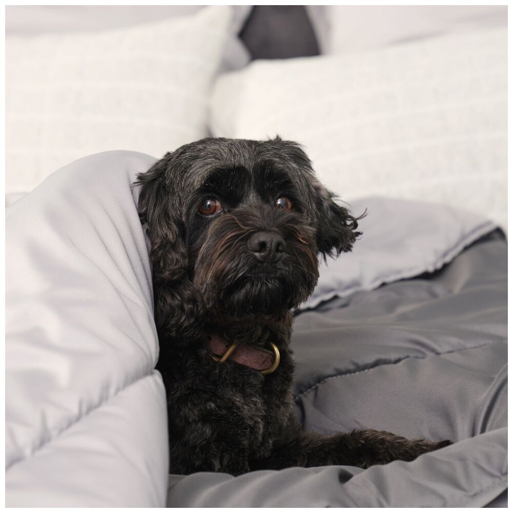 Tontine Doggy Doona Pet-Friendly Reversible Quilt For Dogs Single 140x210cm (2 Pack) — image 9
