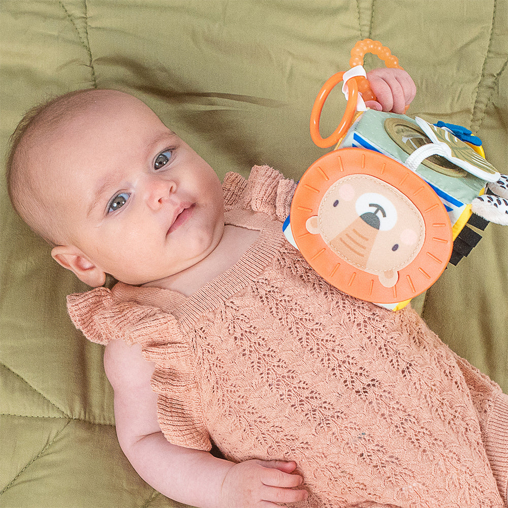 Taf Toys Savannah Discovery Soft Play Cube Baby/Infant 3-6m Educational Toy — image 2
