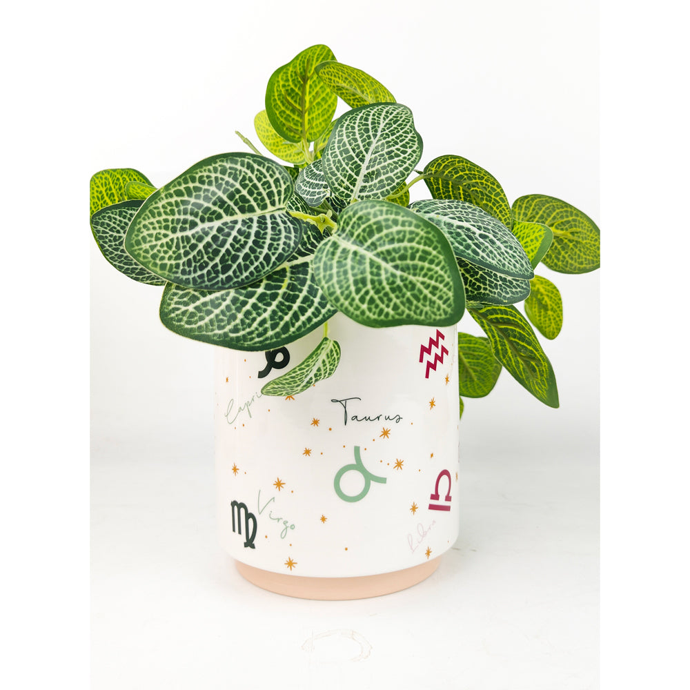 Urban Zodiac 13cm Ceramic Planter Colourful Flower/Plant Pot Desk Decor Small — image 3