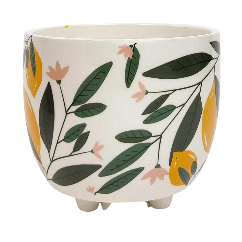 Urban 10cm Evergreen Ceramic Planter Garden Plant/Flower Pot Small Yellow/Green