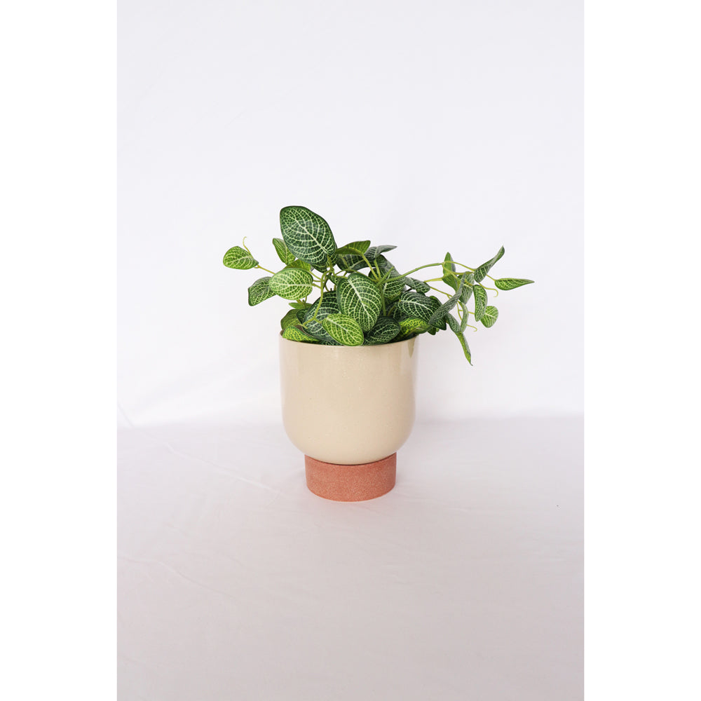 Urban Prim Tall 19cm Ceramic Planter w/ Saucer Plant Pot Medium White/Terra (2 Pack) — image 4