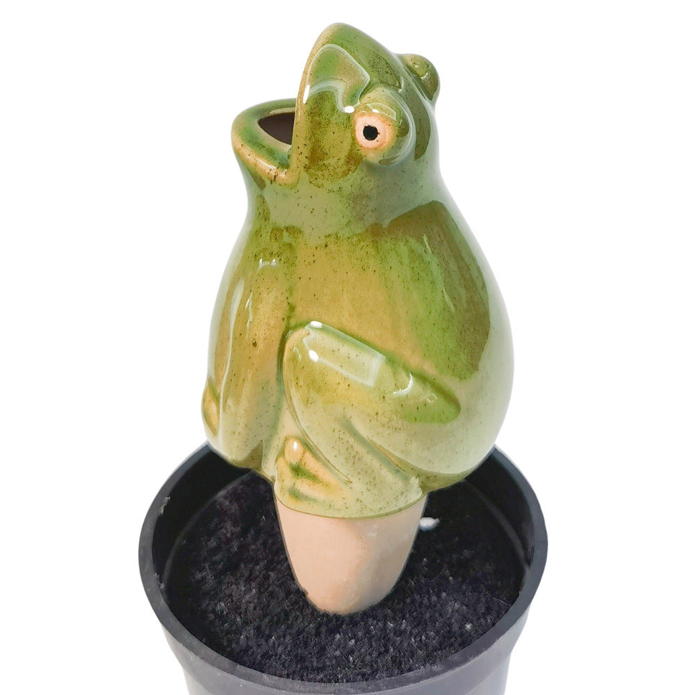 Urban Frog Water Seeper Green 13cm Home Decorative Outdoor Garden Decor