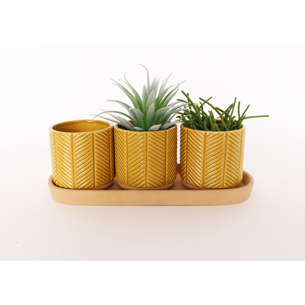 Urban Zari 8cm Ceramic Planter w/ Saucer Flower/Plant Pot Home Decor Mustard (3 Pieces) — image 2