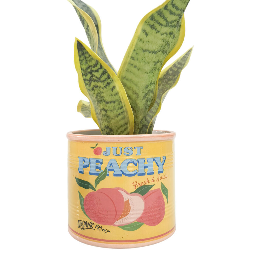 Urban 12x14cm Yellow Ceramic Just Peachy Can Outdoor Planter Pot — image 2
