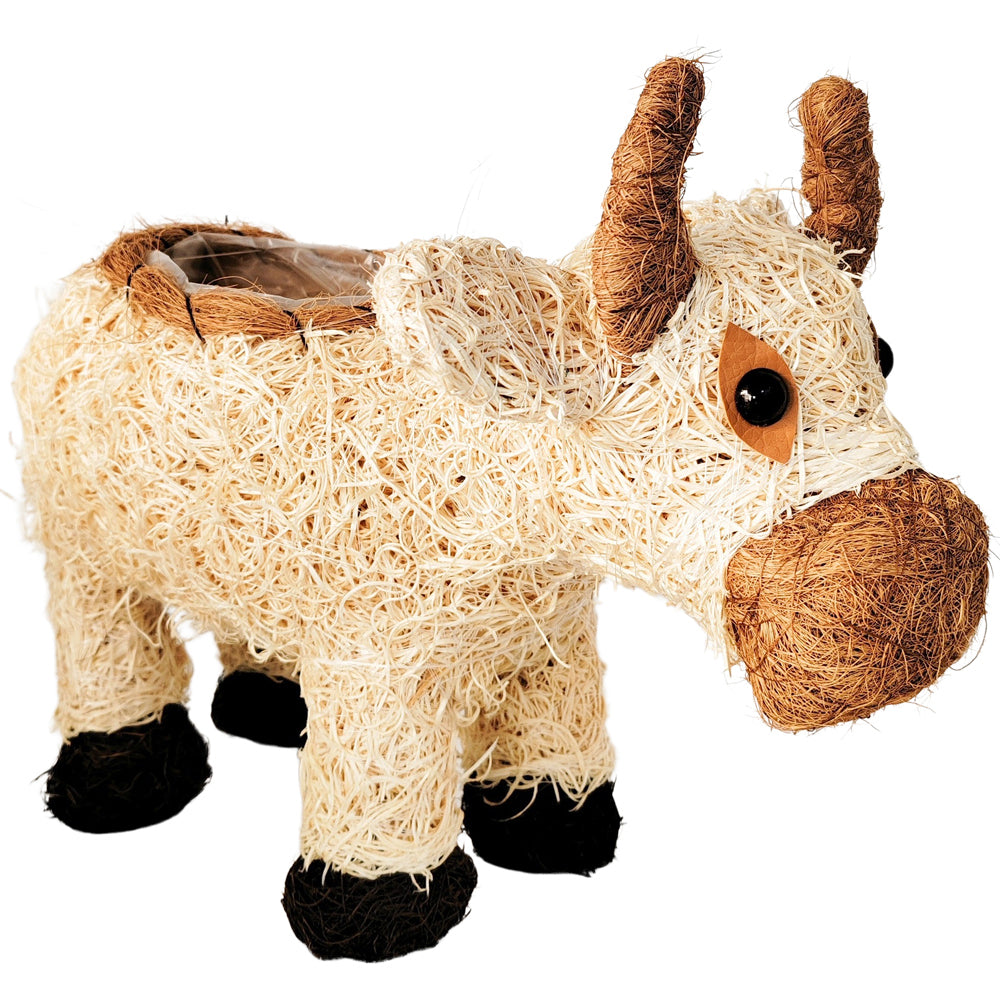Urban Products HUSK Cow Themed Home Decor Planter Pot Box Natural 36cm